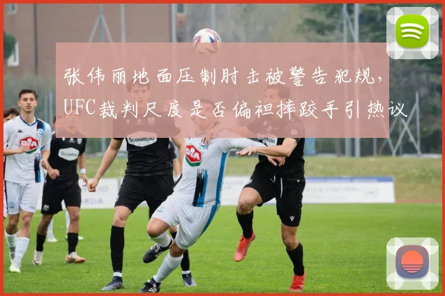 张伟丽地面压制肘击被警告犯规，UFC裁判尺度是否偏袒摔跤手引热议